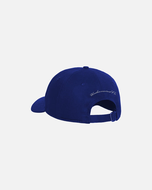 Blue Trucker Cap